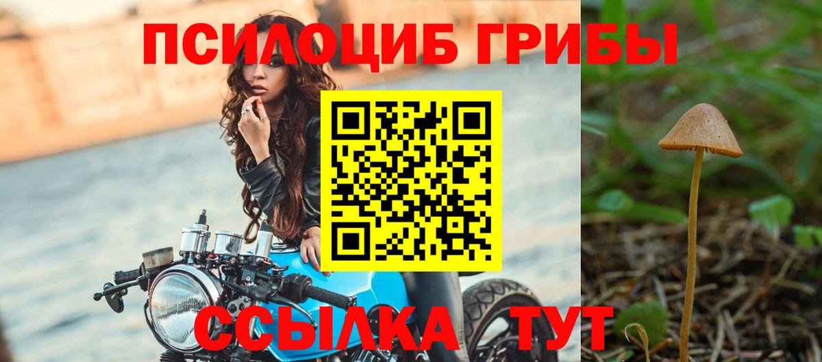 Псилоцибиновые грибы GOLDEN TEACHER Грозный