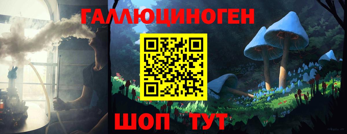 Грозный  Галлюциногенные грибы Psilocybine cubensis  цена наркотик  Вход с VPN 