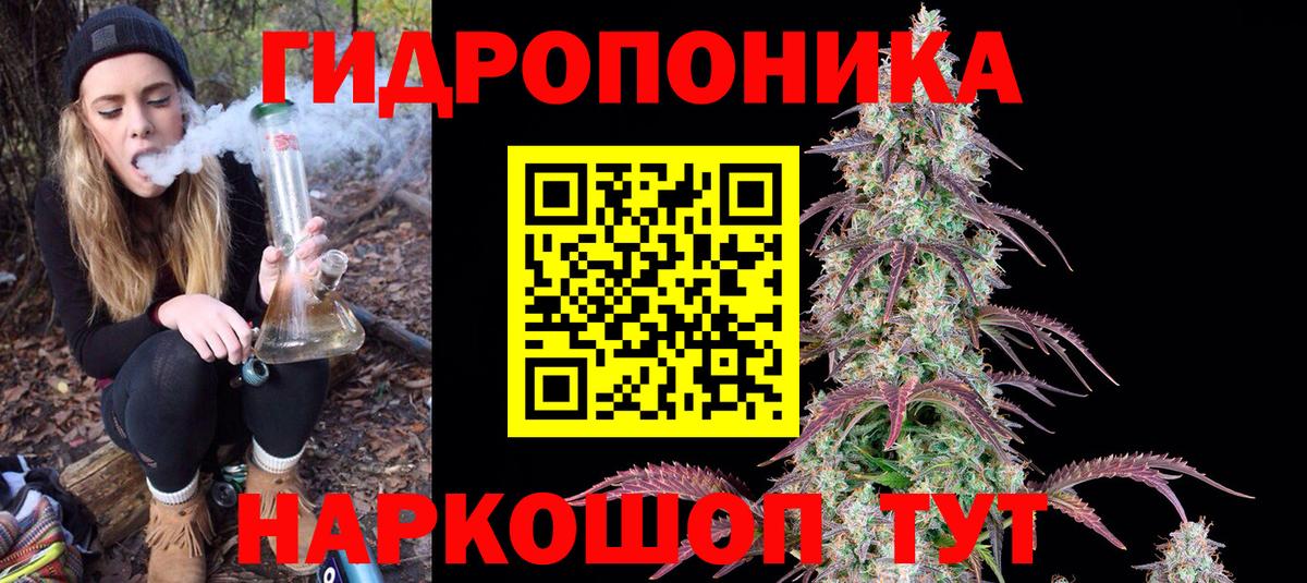 Бошки марихуана сатива Грозный